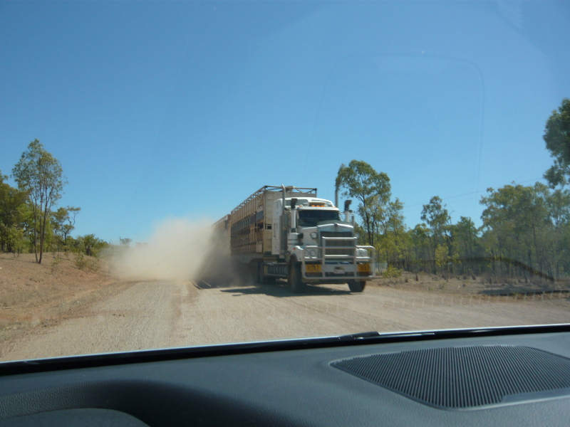 Dust cloud