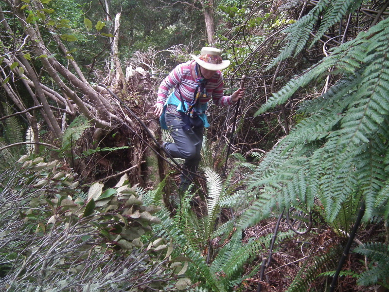 Sue clambering over fallen tree