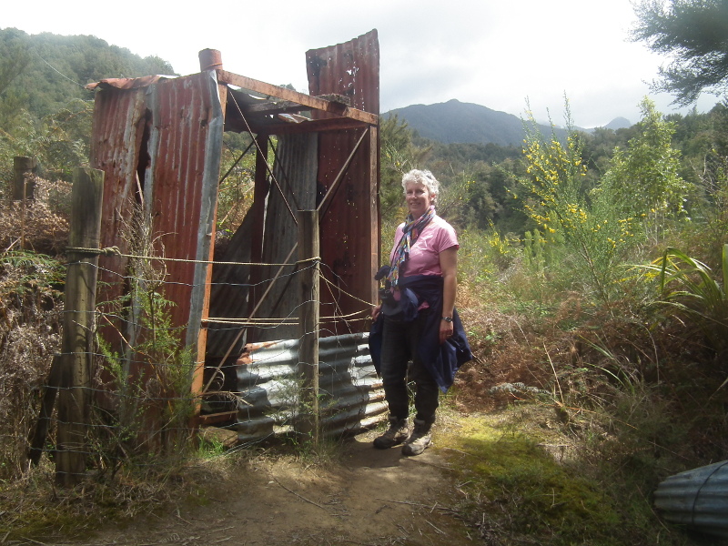 Gold mine shaft