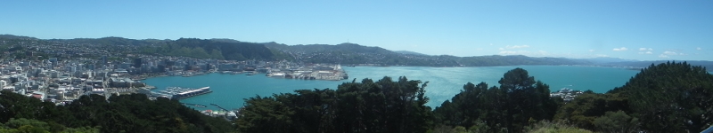 View over Wellington banner