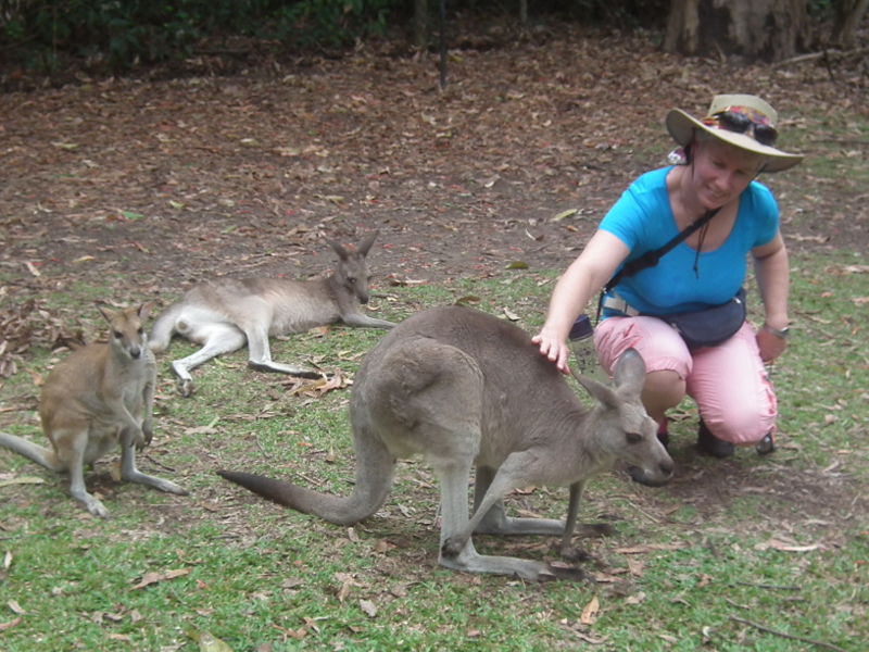 Sue with kangaroos